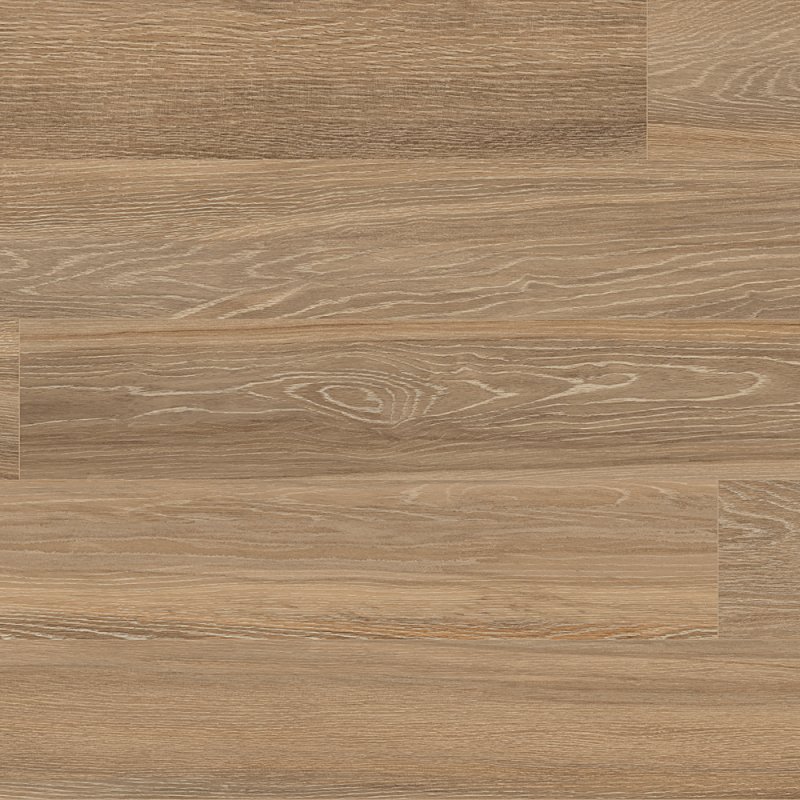 7904 Kp Essence licorice ret. 201x1208  ms
