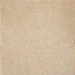 8764 Kp Dijon 60x60 1050653